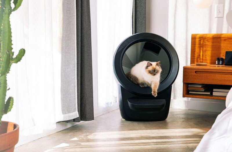 Futuristic Pet Care: Litter-Robot 4 - Image 2